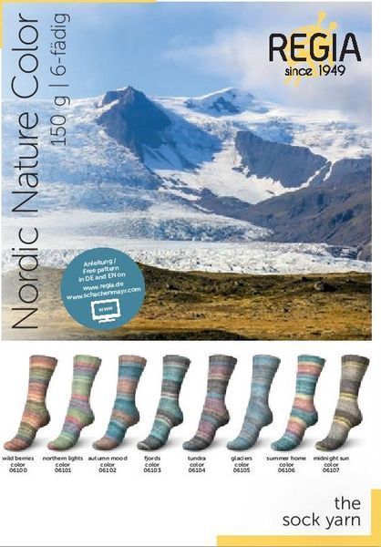Regia Nordic Nature 06102 - товста пряжа для шкарпет 150г/375м 6102 фото
