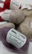 Silk Mohair Lux Lana Gatto Мохер з шовком/люрекс 1580123571 фото 3